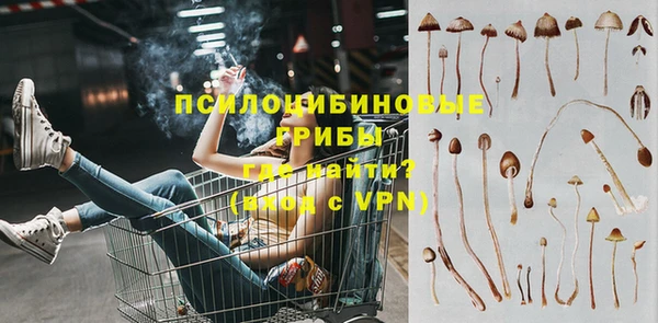 эйфоретик Алексин