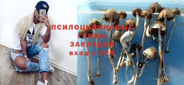 эйфоретик Алексин
