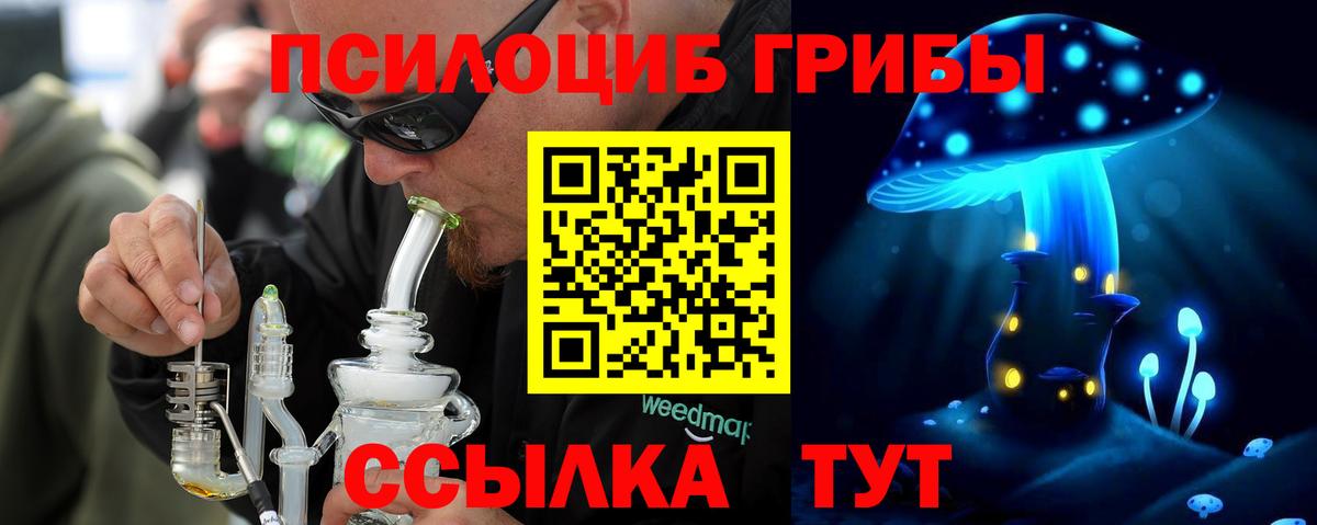 Набережные Челны  Псилоцибиновые грибы Magic Shrooms  Вход с VPN 